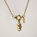 SNAKE CHARM